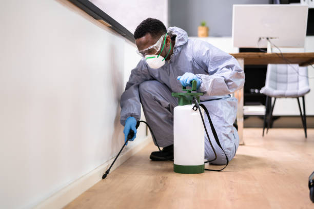 Best Real Estate Pest Inspections  in USA